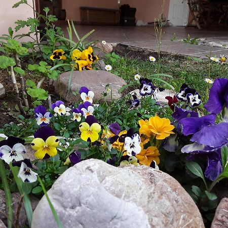 Sweet Dreams Home Trikala  Bagian luar foto