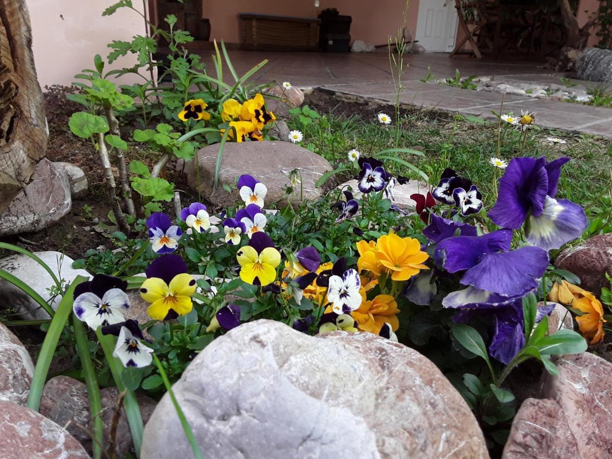 Sweet Dreams Home Trikala  Bagian luar foto